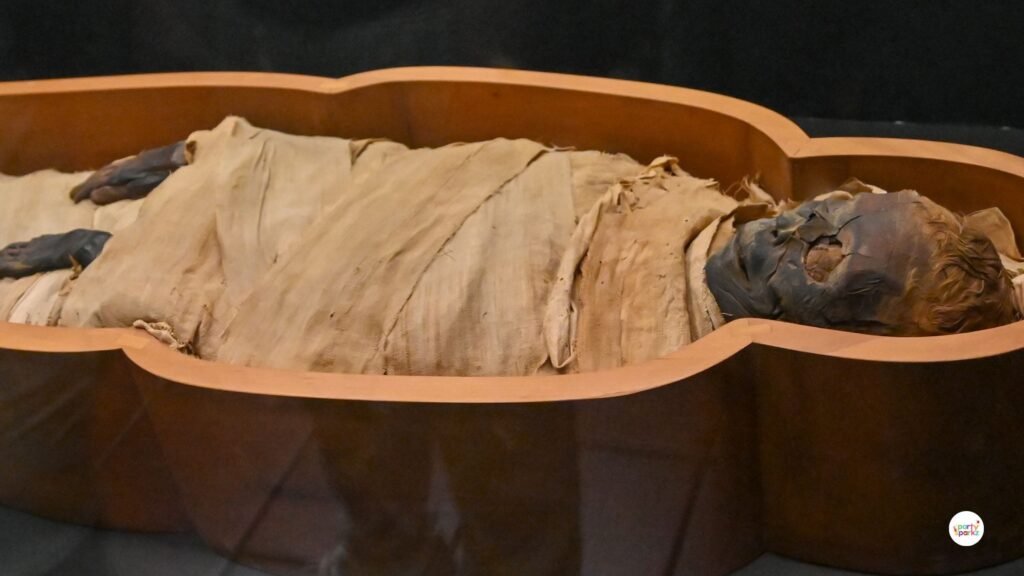 Mummy Wrapped Chocolate Cake